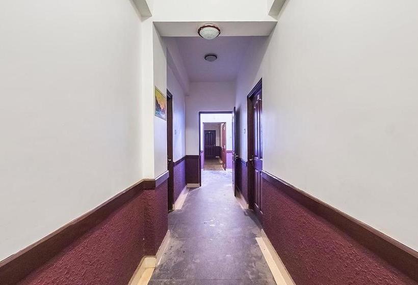 Hotel The Gulmohar Resort 11