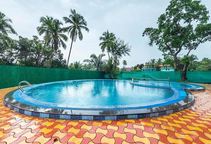 Hotel The Gulmohar Resort 4