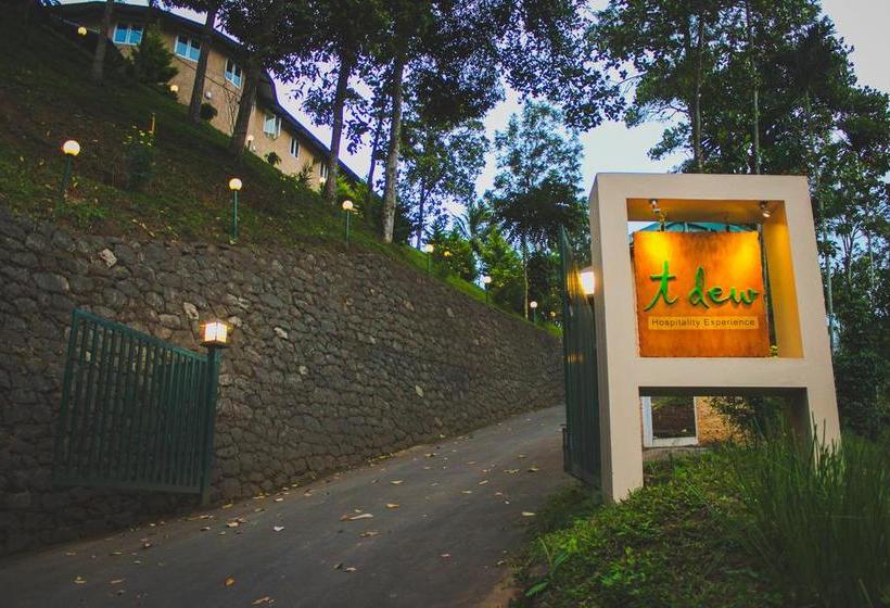 Resort T Dew 2