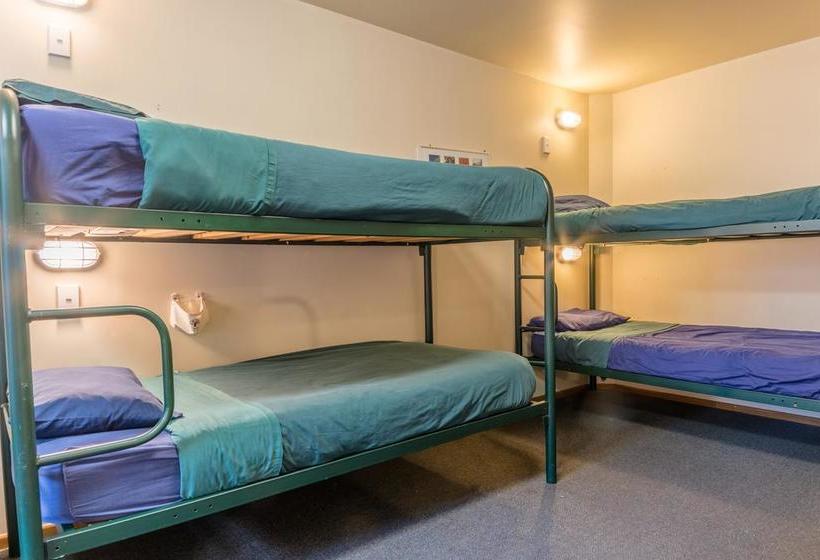 Hostel Hippo Lodge Backpackers 7