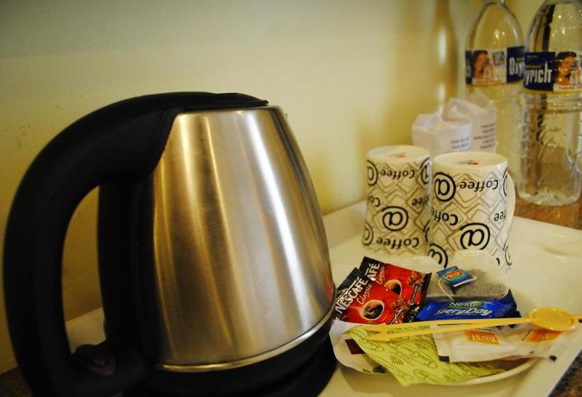 Hotel Viceroy Inn Dehradun 7