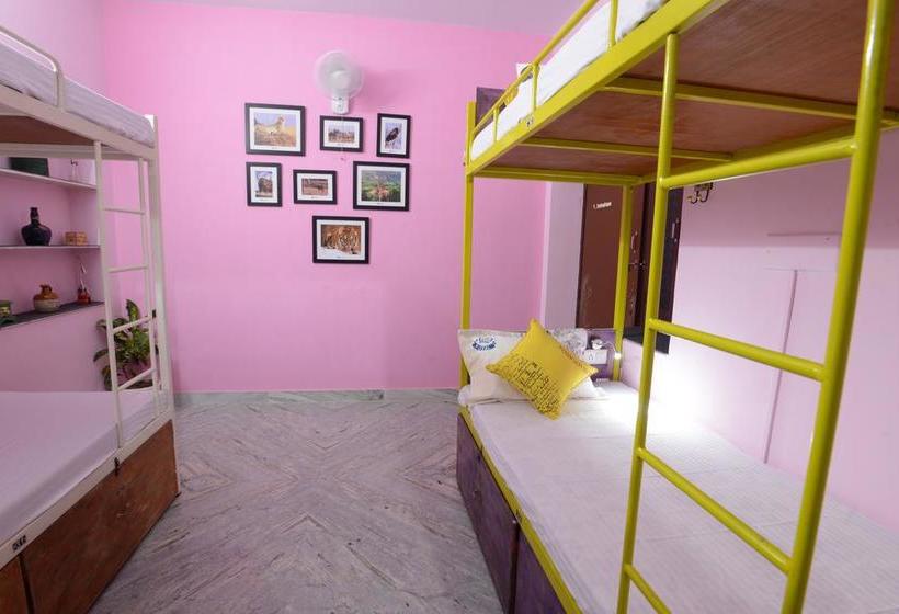 Hostelaviejodhpur 19