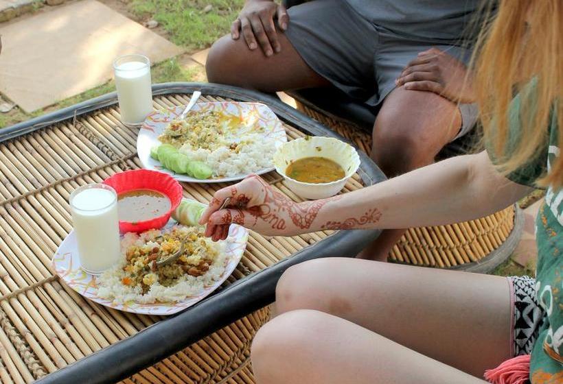 Casa Delhi Hostel & Ecofarm 12