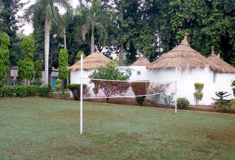 Casa Delhi Hostel & Ecofarm 14