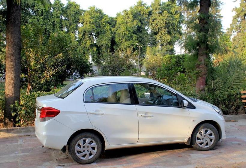 Casa Delhi Hostel & Ecofarm 19