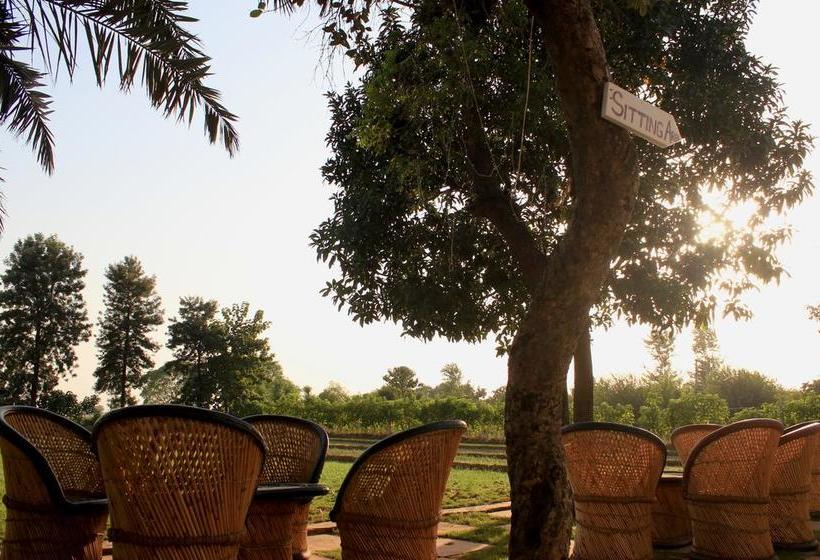 Casa Delhi Hostel & Ecofarm 5