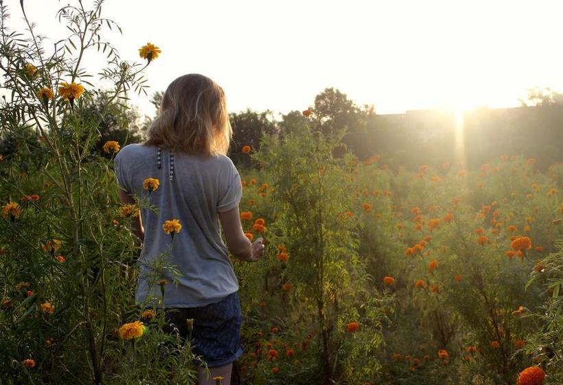 Casa Delhi Hostel & Ecofarm 6