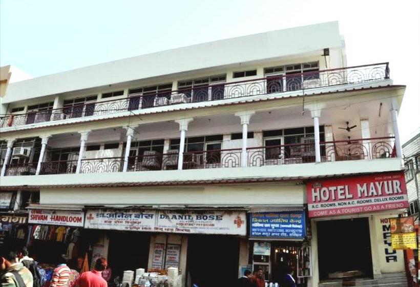 Hotel Mayur