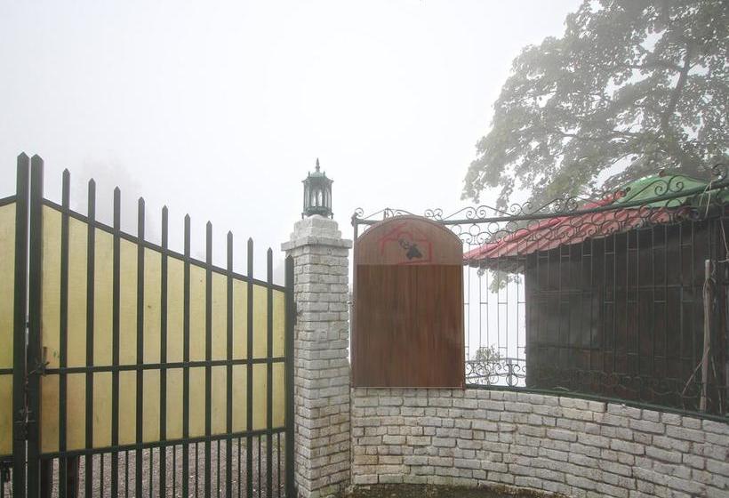 Hotel Oyo Homes Near Jharipani Mussoorie