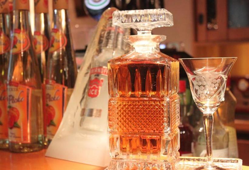 Hotel Und Restaurant Die Burg 5