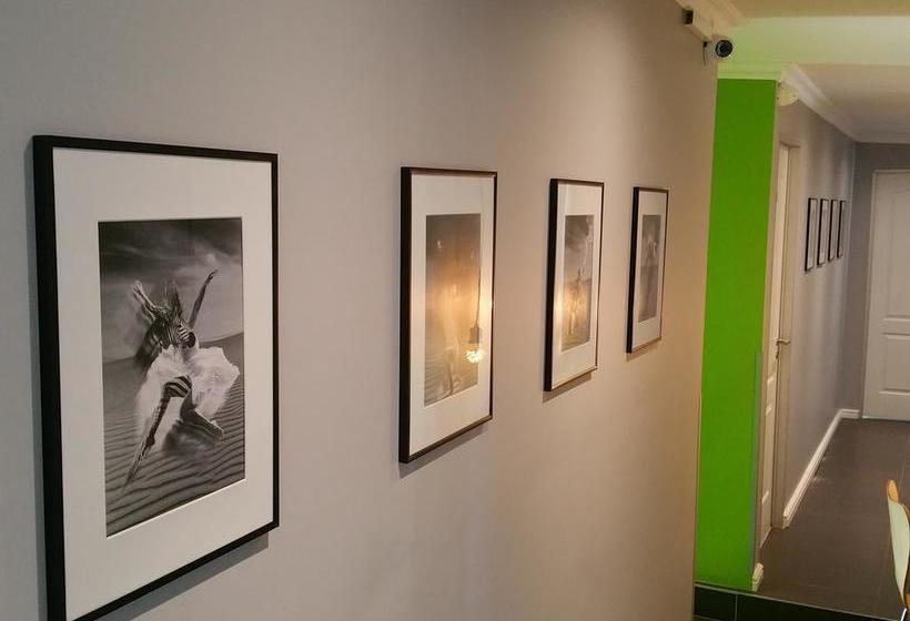 Bed and Breakfast The Vibe Dorp Street 2