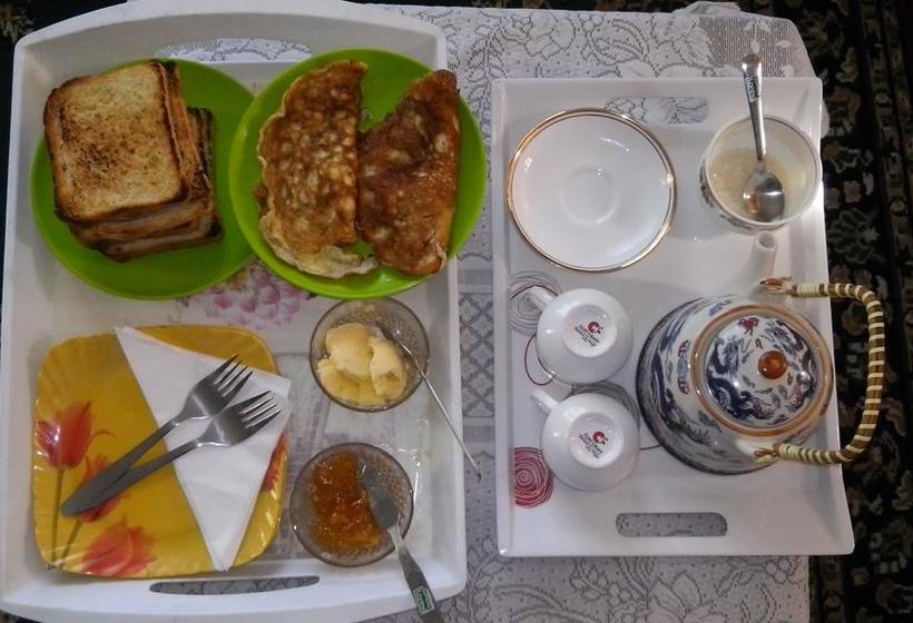 Bed and Breakfast Himalayan Inn 10