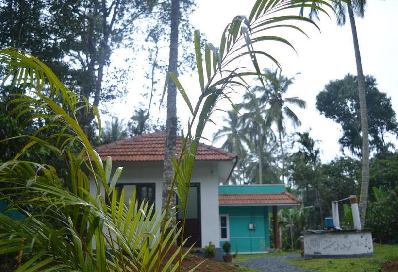 Kalizta Forest Resort 5