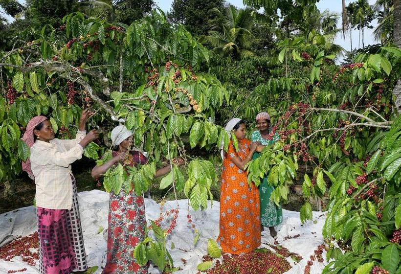 Hotel Field View Estate Bungalow 19