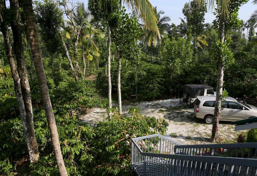 Hotel Field View Estate Bungalow 4