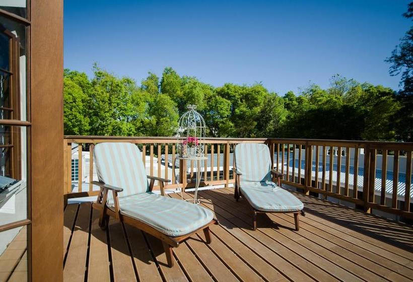 Bed and Breakfast Madeliefie Guest Accommodation 5