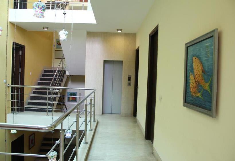 Hotel Shamrock Palace 20