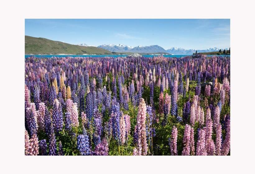 Bed and Breakfast Alpine Suites On Tekapo 16
