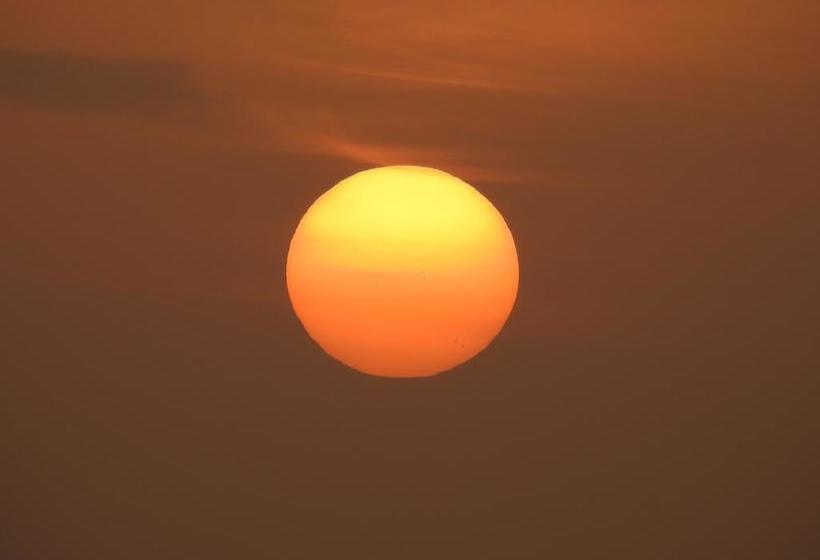 Hotel Alleppey Beach Garden 4