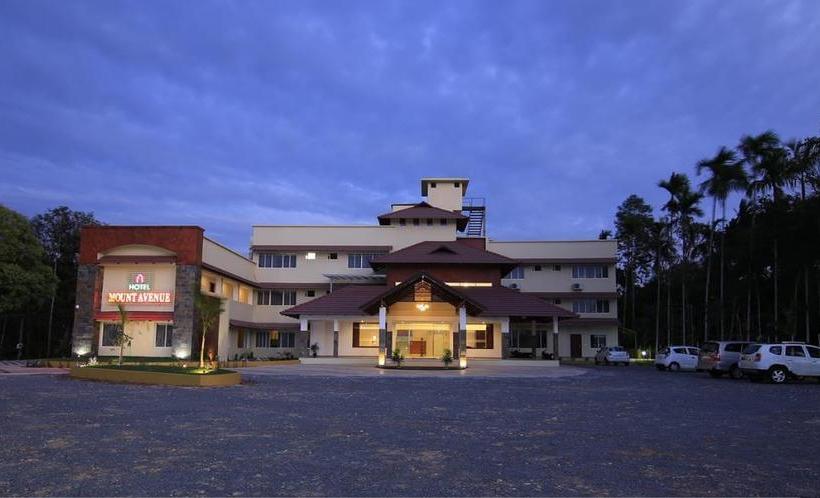 Hotel Mount Avenue 4