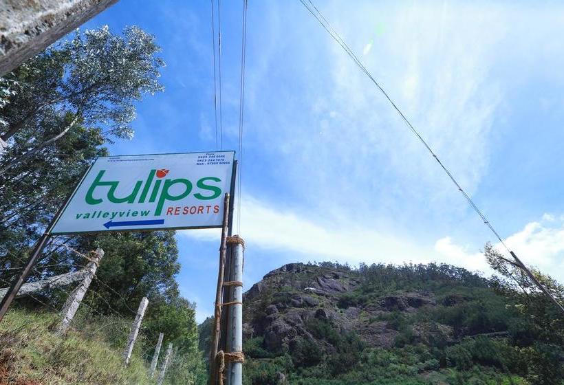 Tulips Valley View Resorts 15