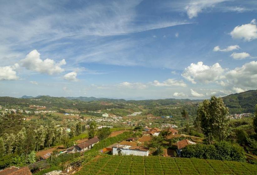 Tulips Valley View Resorts 9