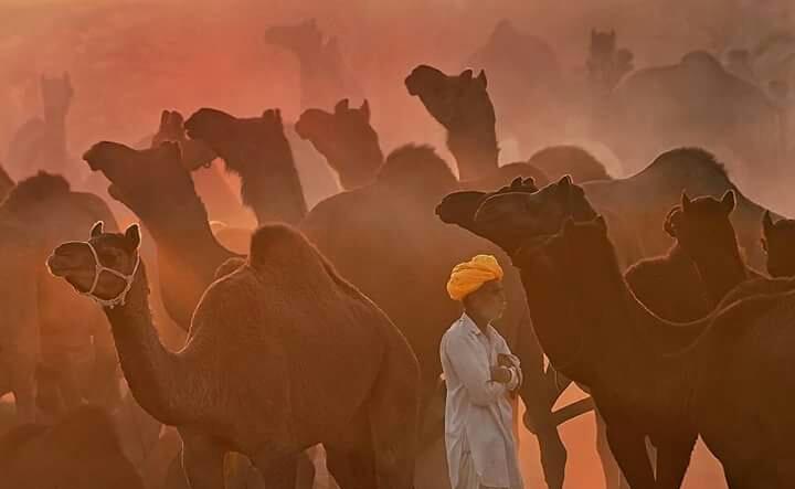 Bed and Breakfast Dia Homestay 13