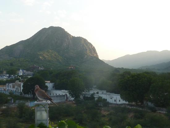 Bed and Breakfast Dia Homestay 4