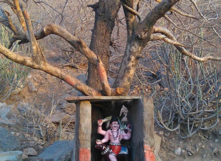 Bed and Breakfast Dia Homestay 8