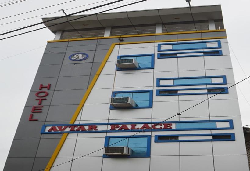 Hotel Avtar Palace 13