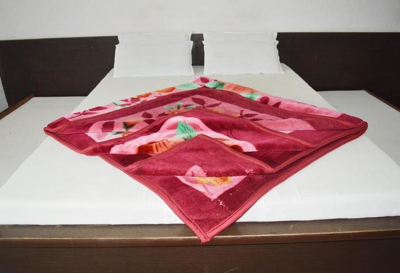 Hotel Avtar Palace 14