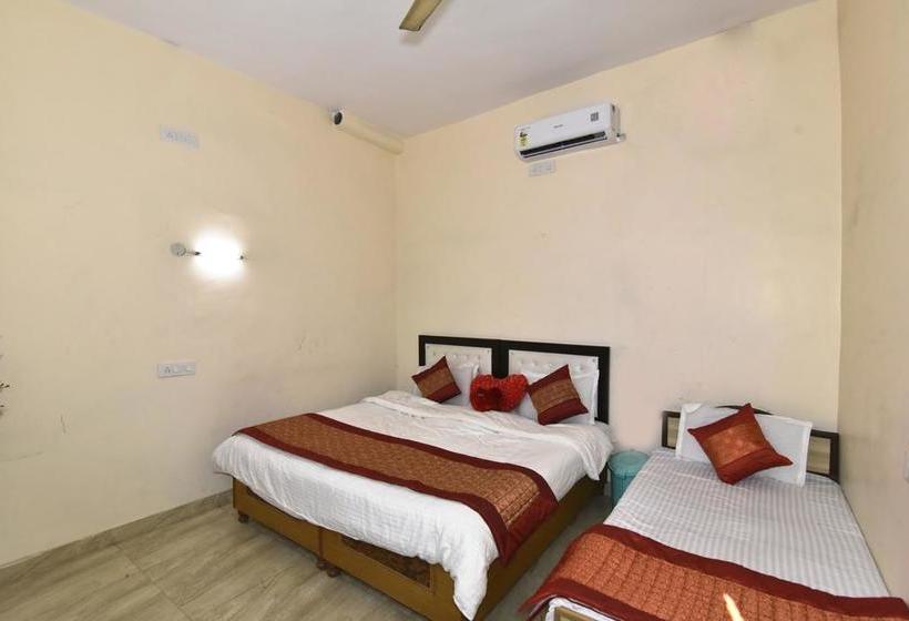 Wow Backpackers Hostel 15