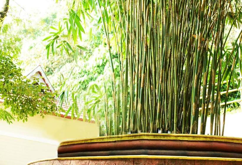 Cybele Hill Resort Kerala