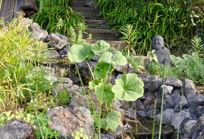 Resort Kawai Purapura Yoga Retreat Centre 4