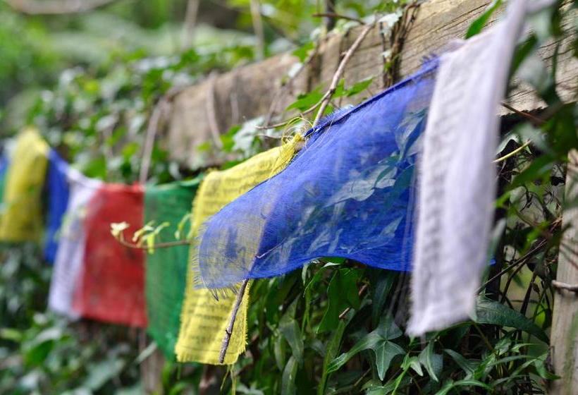 Resort Kawai Purapura Yoga Retreat Centre 5