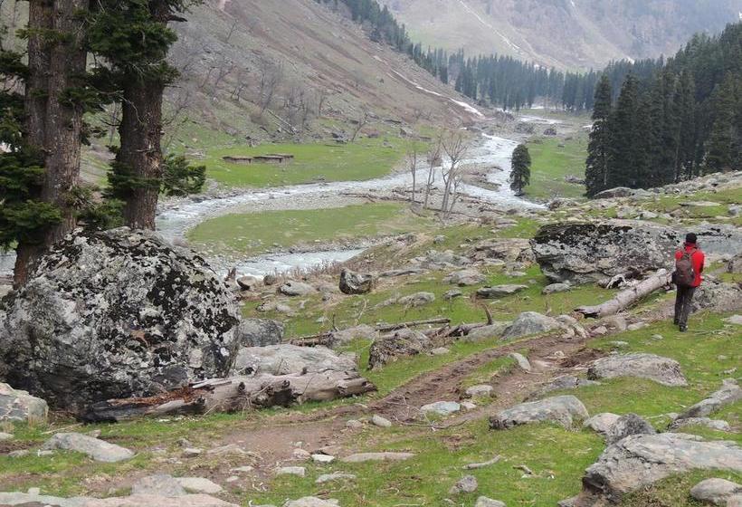 Resort Brown Palace 3