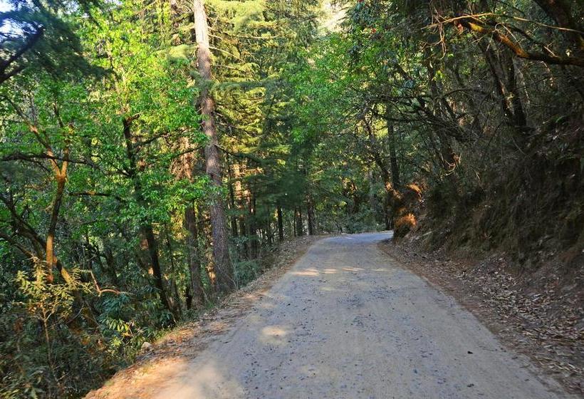 Hotel Ojaswi Himalayan Resort 16