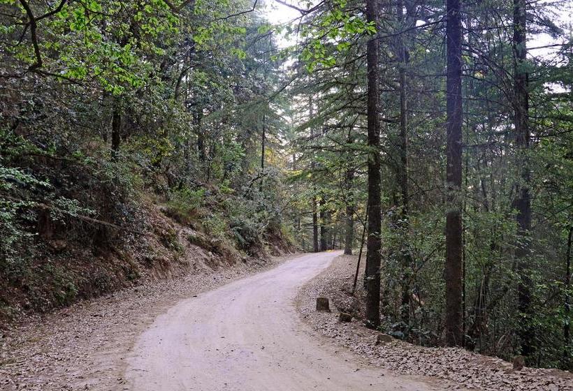 Hotel Ojaswi Himalayan Resort 18