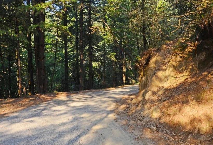 Hotel Ojaswi Himalayan Resort 5