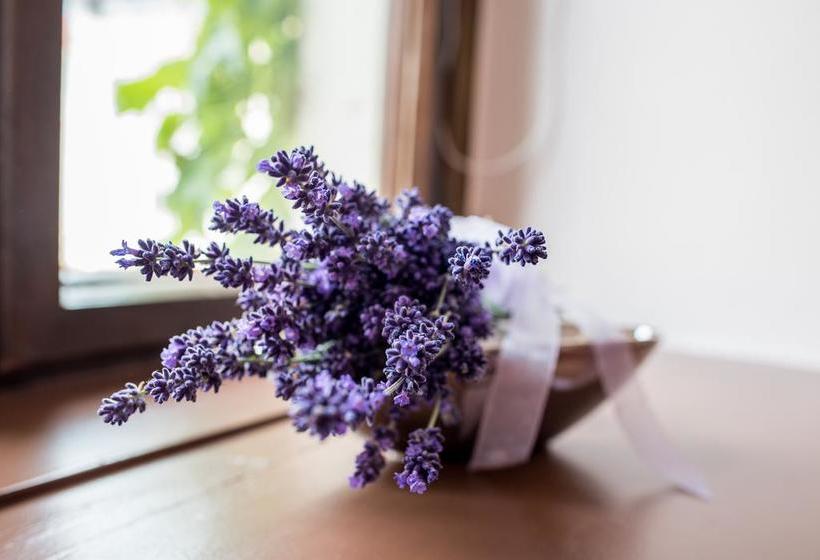 Pirnscher Hof Hotel Garni 18