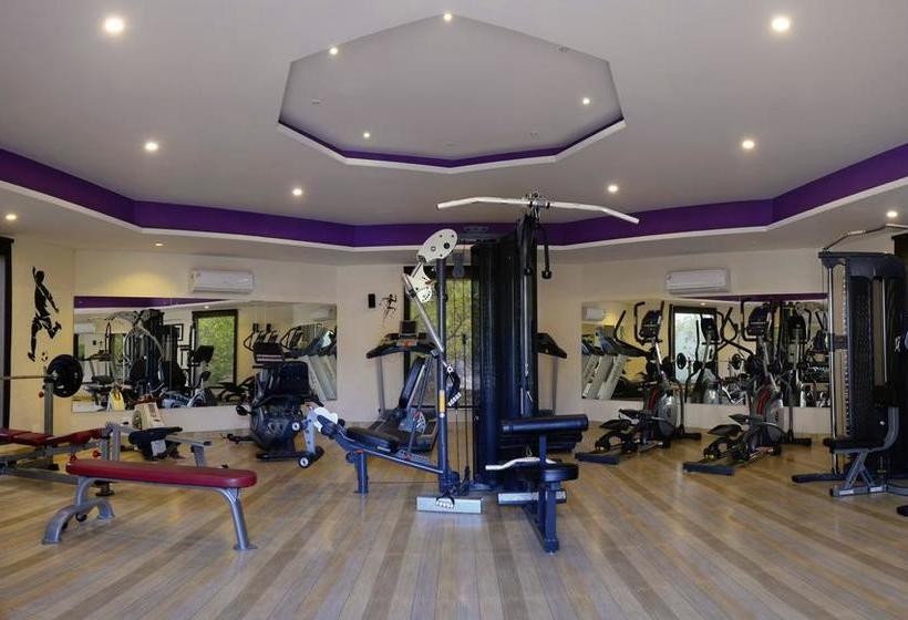 The Tigress Spa & Resort 6