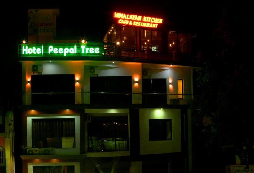 Hotel Peepal Tree 1