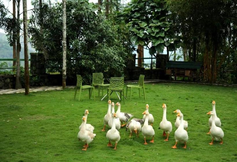 Resort Lumino Wytemist 15