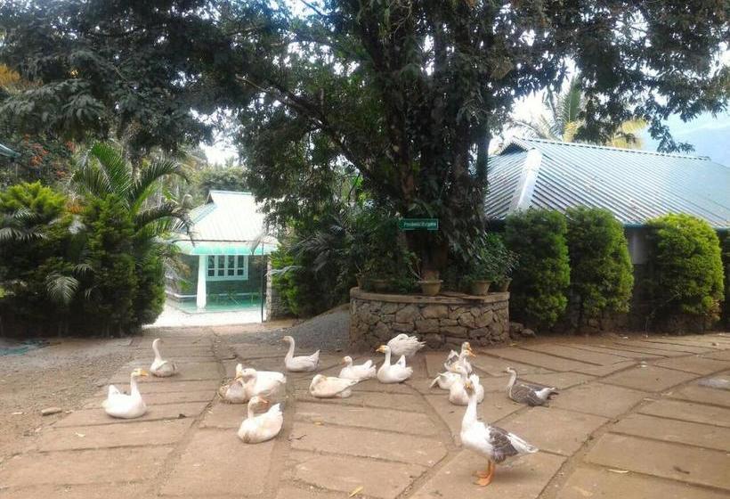 Resort Lumino Wytemist 17