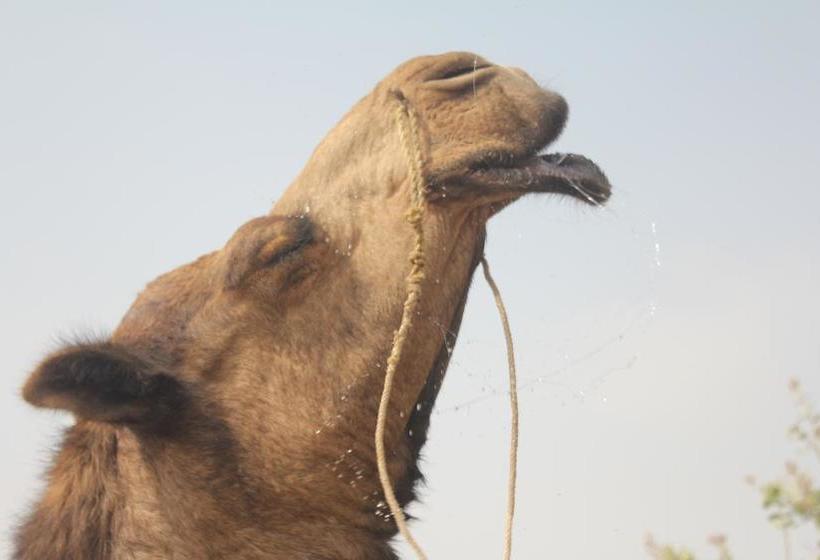 Resort Greenarts Farm&cottage 10