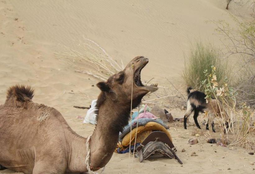 Resort Greenarts Farm&cottage 12