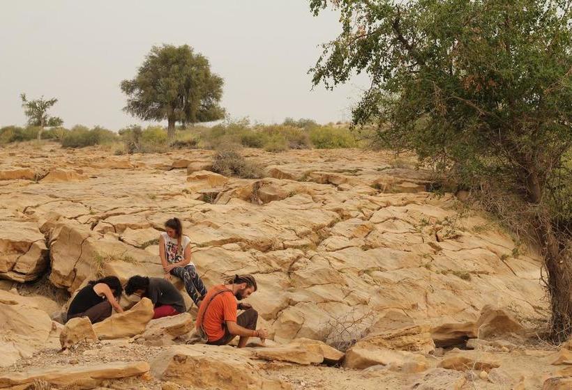 Resort Greenarts Farm&cottage 16