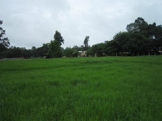 Resort Tripvillas @ Kozee Kaves 6