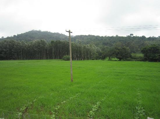 Resort Tripvillas @ Kozee Kaves 7