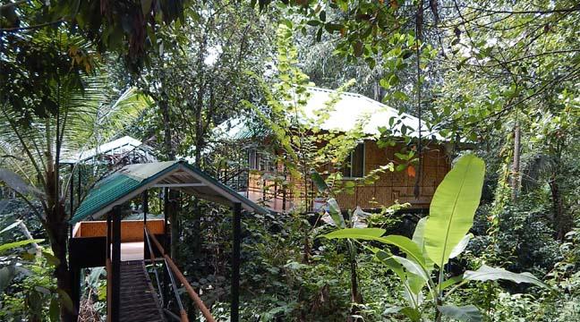 Resort Tripvillas @ Coffee County Retreat 14